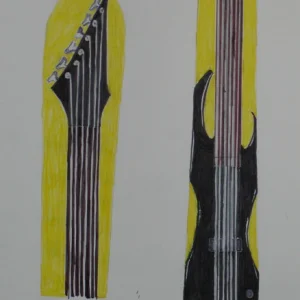 just an idea for skis