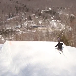 Andrew Brownson- A few days at Loon