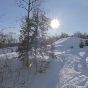 Kissing Bridge Invasion!