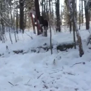 first back flip