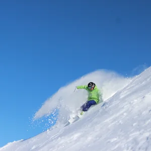 Slaying Whistler