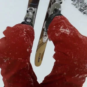 Searching for Spines, Episode Three