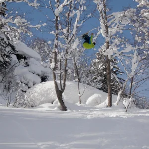 Flat 3 Through the Trees