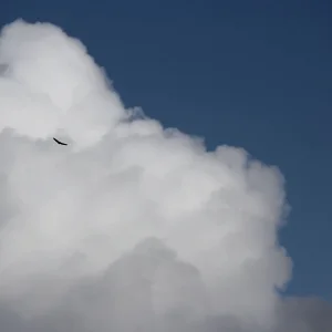 Salomon Freeski TV Episode 12 Season 6 - Poor Man's Heli