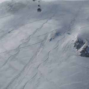 8th Gondi up this morning....