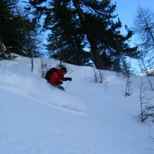 I Love trees till I ripped the edge off my skis