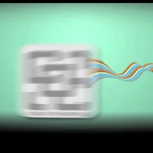 Double Rail - Camp of Champions Park Tour