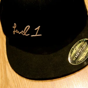 Level 1 Hat 30$ shipped 