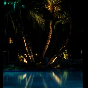 The Pool At Night