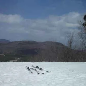 Unnatural 360 reverse mute