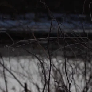 .XCVI .003 urbs et platea