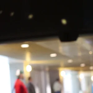 Lucas Evans's Day Off