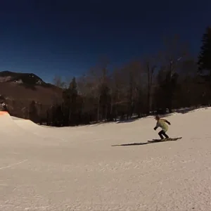 sandwhiches with dhane