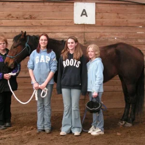 pic of my horse & friends