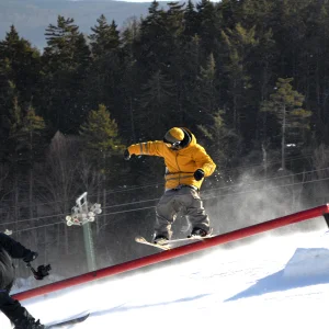 b-dog rides WV donkey