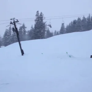 Will Reuland 2012-2013