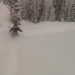 Who could go for some pow?