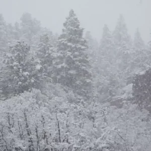 Highest Region - Charlie's Demons | 2.3