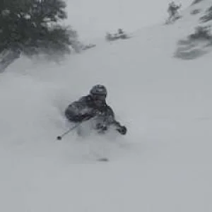 Fast Utah Pow Turn