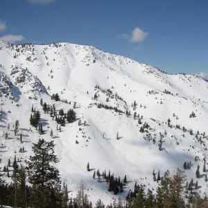 Utah Cat Skiing