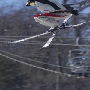 3 Tox on Roundtops Biggest Table