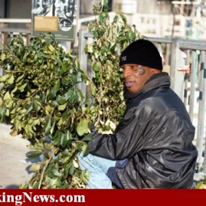 mike tyson is homeless