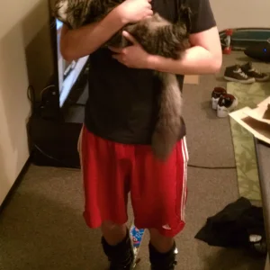 can't wait... also kitteh!