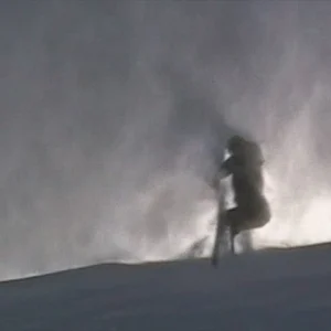 tail of cornis with snow blowing over