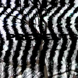 UNP - The Neighborhood