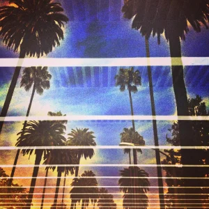 Palms