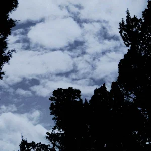 Black and white Clouds a tint of blue