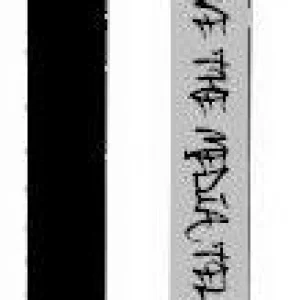 media skis zach neill pro model