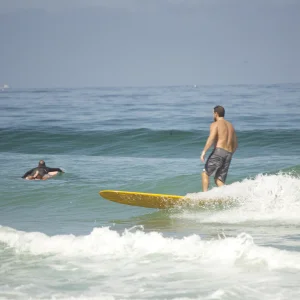 Surfing
