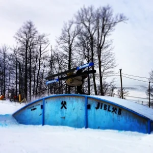 planting some rainbows