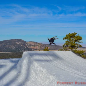 Trevor Stameisen January 2014