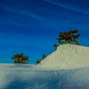 Trevor Stameisen January 2014