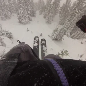pov vd trees whistler