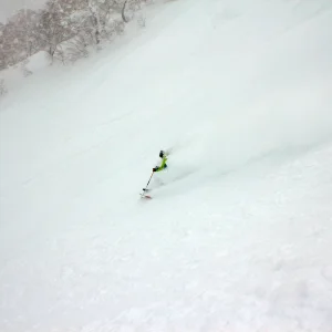 Sometimes it snows in Japan