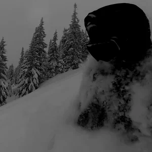 TTE | Shots from the past