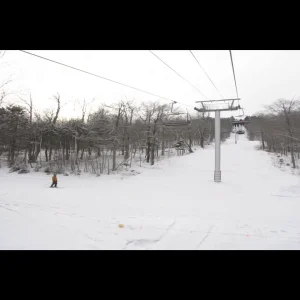 A Stroll Through the Park