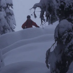 Short and Sweet: One Minute with the Arcade Team