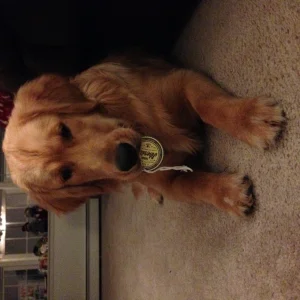 Charlie
