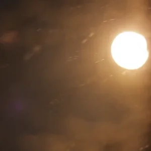 THE FALL OF COUCHLIFE