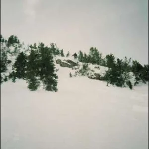 bad pic, i'm in the middle flyin over trees