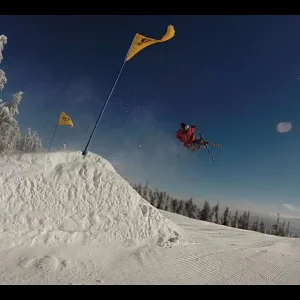 Timberline Screenshot