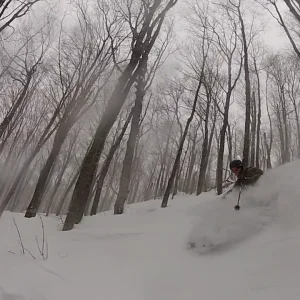 Deep VT Pow