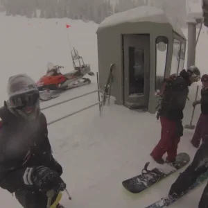 Quail Of The Week #2