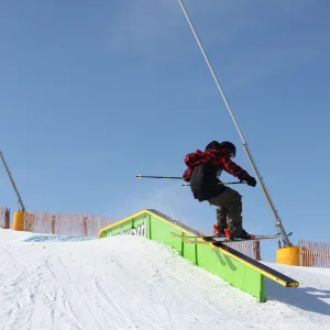 Bluebird Tailpressing