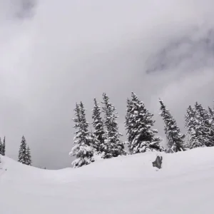 6 laps at Laax #keeshlyfebruhs