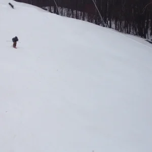 50-50 to rodeo 5 death